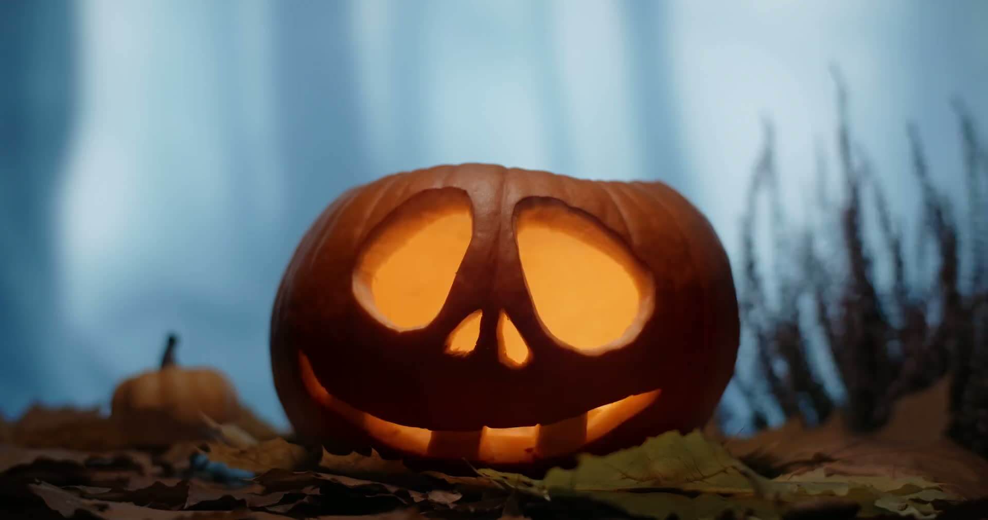Dýně na Halloween – vydlabaná dýně se světlem
